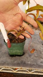 20180330_065524.jpg 20180330_065524.jpg