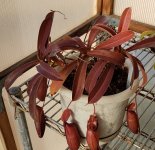 20180330_073544.jpg 20180330_073544.jpg