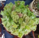 20180515_172152.jpg