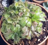 20180519_231332.jpg