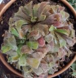 20180524_235541 (2).jpg