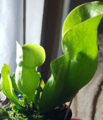 IMG-20180509-WA0065.jpg