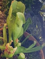20180606_102218.jpg