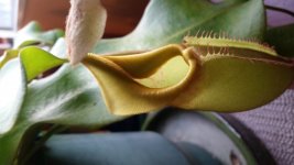 20180807_082958.jpg 20180807_082958.jpg