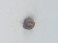 20181004_162734.jpg
