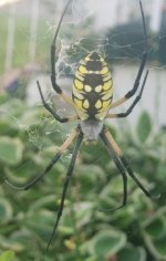 20181004_162714.jpg 20181004_162714.jpg