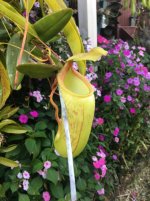 IMG_0044.jpg