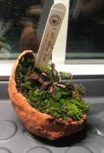 image9.jpg