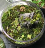image6.jpg