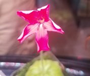 20190518_110041.jpg
