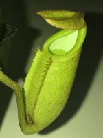 IMG_7414.jpg