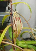 20190804_083301.jpg 20190804_083301.jpg