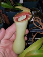 20170802_194859.jpg