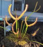 20191005_085555small.jpg