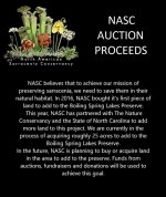 Auction Proceeds (2).jpg