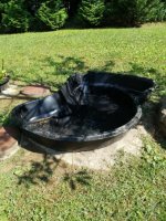 pond2.jpg