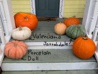 Pumpkin Names.jpg Pumpkin Names.jpg