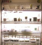grow rack grow rack