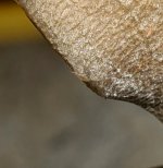 20210615_132337.jpg