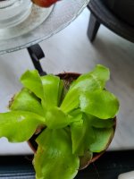 20210805_192937.jpg
