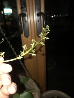9968C233-6D45-4BD4-B373-6D0816654384.jpeg
