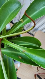 20211024_102908.jpg