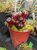 PXL_20220121_063432787.jpg