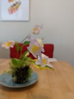 PXL_20211016_175402694.MP.jpg