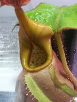 20220207_160219.jpg