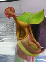 20220207_160215.jpg