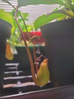 20220126_074812.jpg