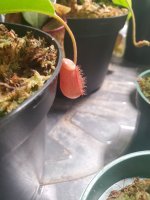 20220207_064747.jpg