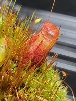 20220409_210243.jpg