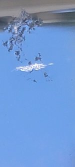 20220507_091103.jpg