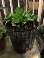IMG_8419.jpeg