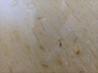IMG_20220722_072403.jpg
