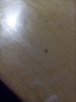 IMG_20220722_072226.jpg