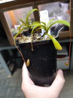 20220731_105237.jpg 20220731_105237.jpg