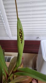 20220810_055322.jpg