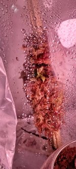20220815_194439.jpg