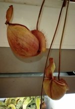 IMG_20220819_220629728.jpg