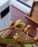 20220826_192735.jpg