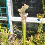 20220902_123959.jpg 20220902_123959.jpg
