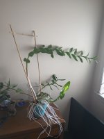 IMG_20221118_094154560.jpg