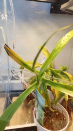 20221121_095308.jpg