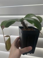 81B327E7-C324-49D6-8B51-E630D235E416.jpeg