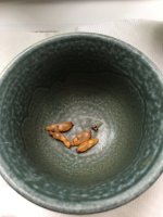 seeds.jpg