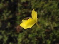 IMG_0329.JPG
