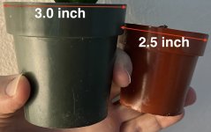 Small plant pots.jpg Small plant pots.jpg
