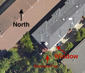 Redwood Tree.png Redwood Tree.png
